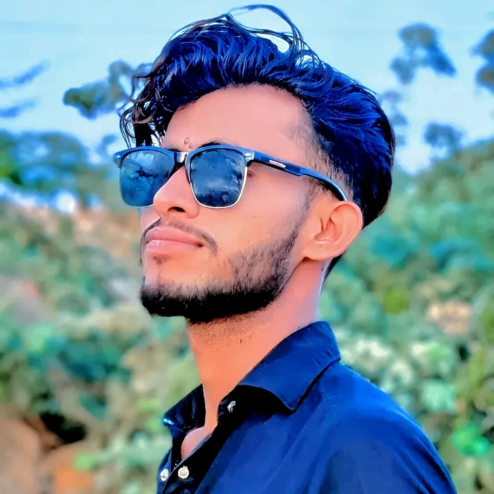 dilpa33