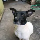 @nubia.oficial8