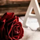 @ali_711111