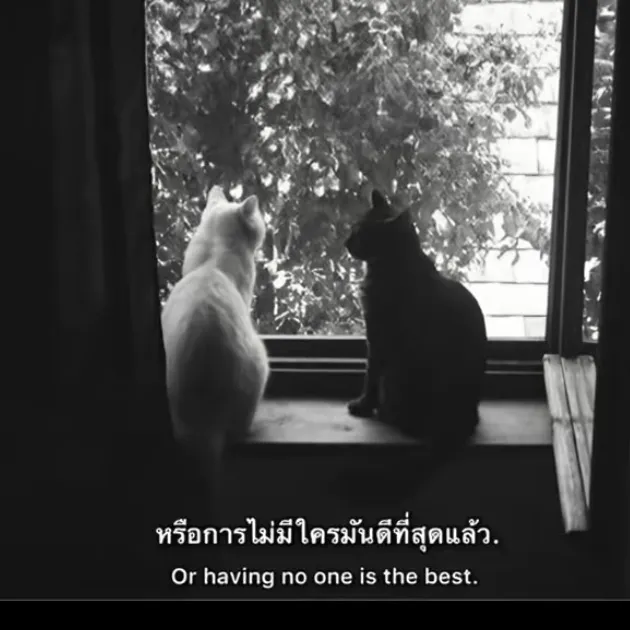 @__myn.ame.is