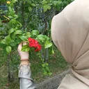 @rafidahsuaib