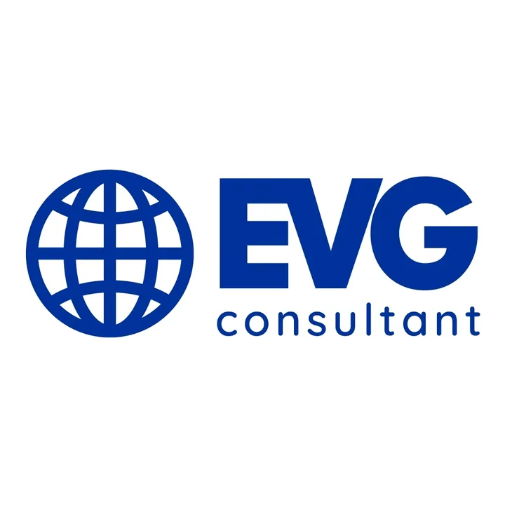 evg.consultants