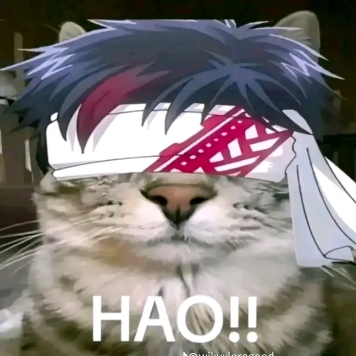 himchanyi
