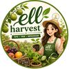 ell.harvest