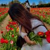 ab2fyre