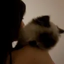 @_rytatwly
