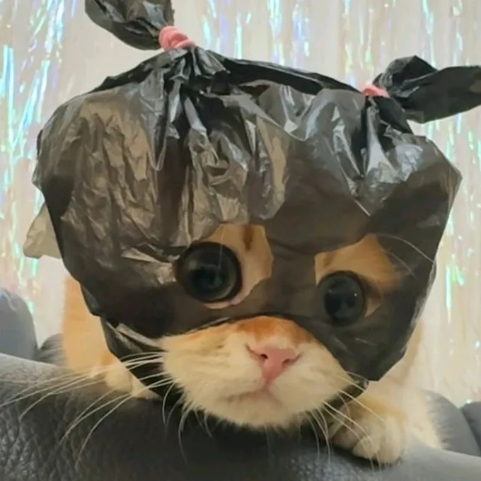 @whyyme54