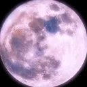 @user7981196282027