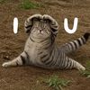 iqiqiqa_
