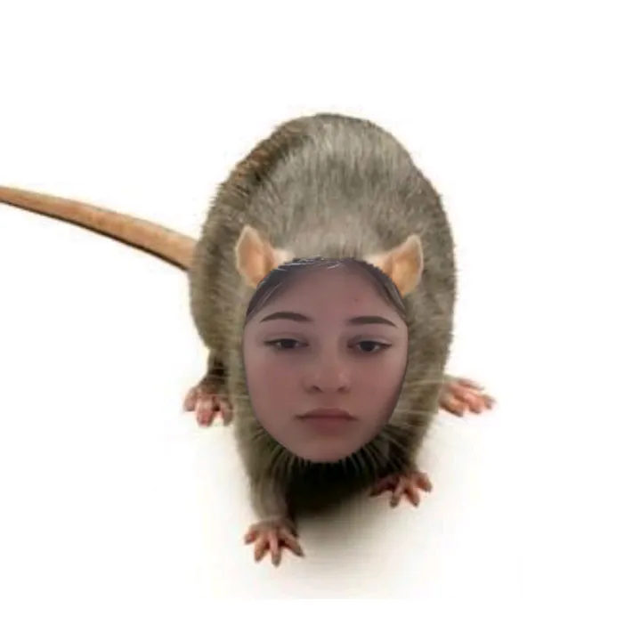 otdavaitrusi