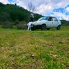 papatya_kokusu37
