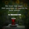 dosthanemiz