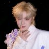moomoo_sunstar