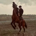 @_bekezhanov_1