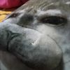 focaguatongameplays1