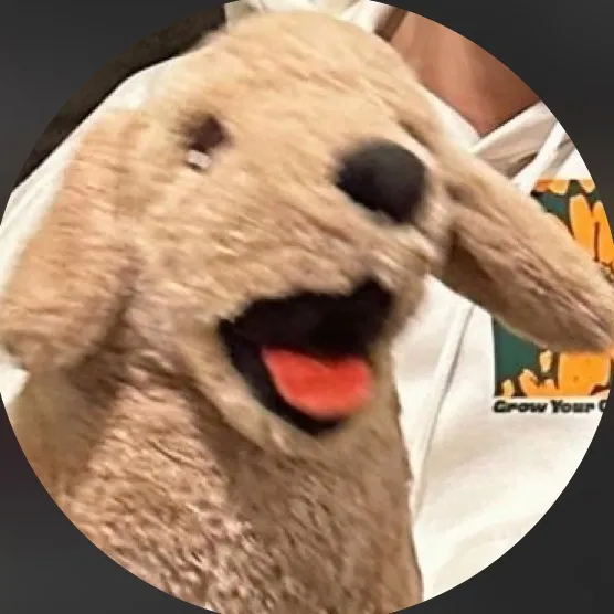 nmsante