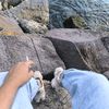 hickimagarakiyokadam