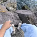 @hickimagarakiyokadam