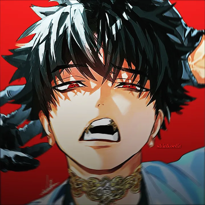 @shinkoedit