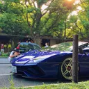 @dachio_3150