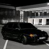 holbik281