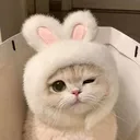 @deriada03