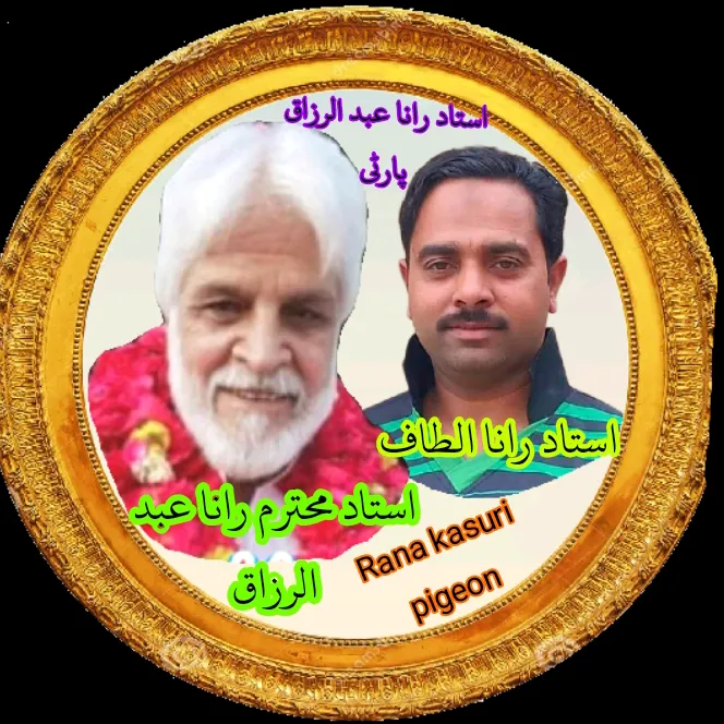 sajjadhussain09870