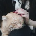 @duaa_0h