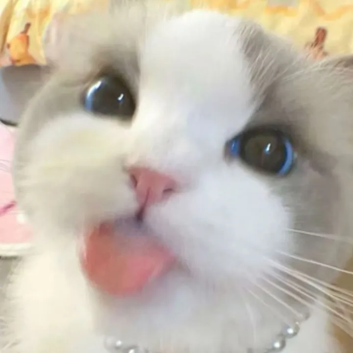khaopxxn6