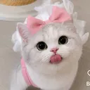 @yagmur__parlak