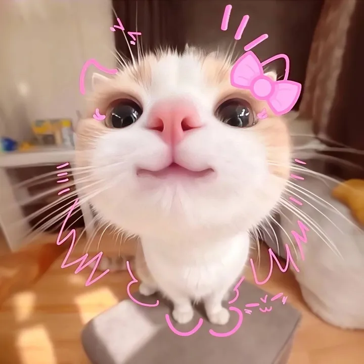@patrixee_