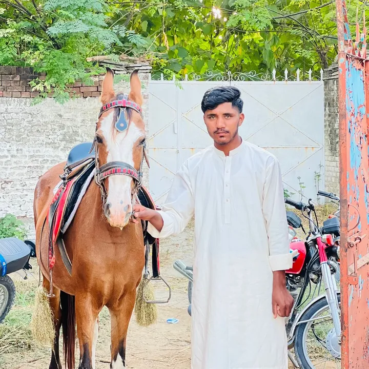 mubashirgujjar433