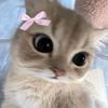 k_k_t.2.0.0.7