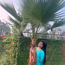 @sirjanapun169