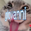 @giovannicanario8