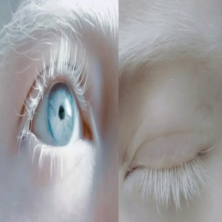 vvinter_silent