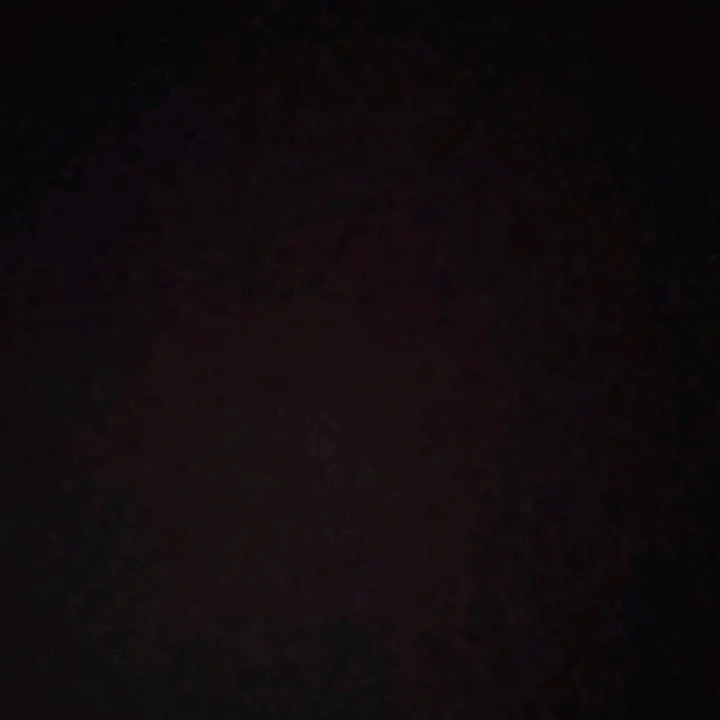 amishagrg0