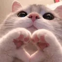 @dxxxnsxb