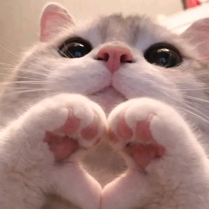 dxxxnsxb