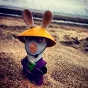 @nugget.warrior863