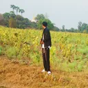 @mg.zwe905