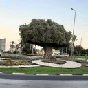 @mastala.aramden542100566