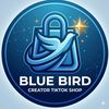 bluebird_c3