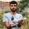 mustafamanisa