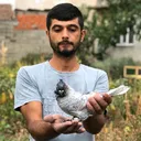 @mustafamanisa