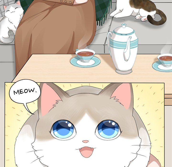My New Pet Cat - episode 16 - 5