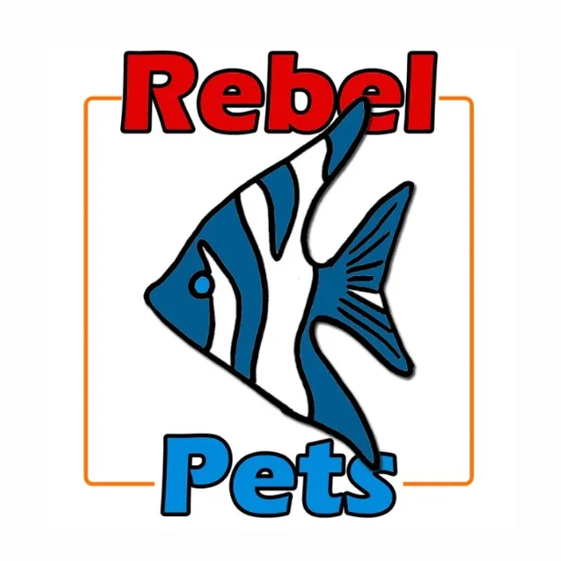 @rebelpetssa88