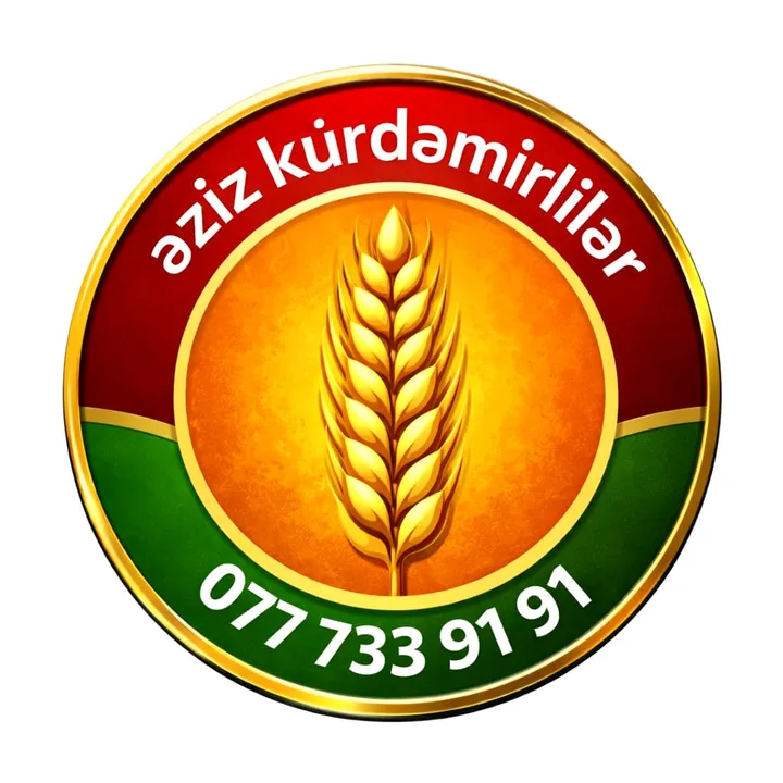 evinsaat