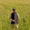 @farooqgujjar3240