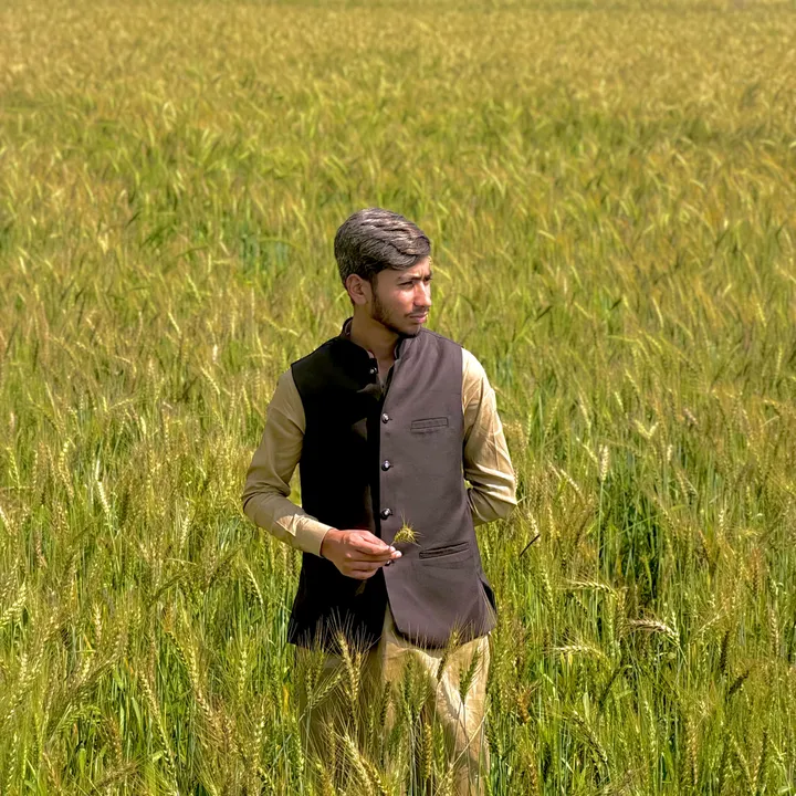 @farooqgujjar3240